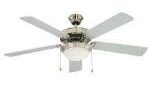 Ceiling Fans